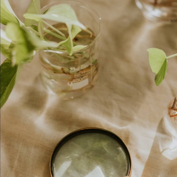 Meet your Posher, Zely - Picture 1 of 1